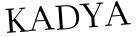 Please type this word.