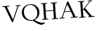 Please type this word.