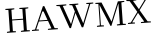Please type this word.