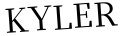 Please type this word.
