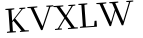 Please type this word.