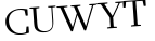 Please type this word.