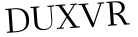 Please type this word.