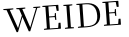 Please type this word.