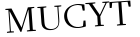 Please type this word.