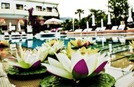 La Piscine Art Hotel