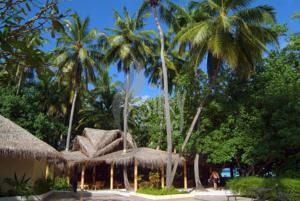 Biyadhoo Island Resort Hotel 